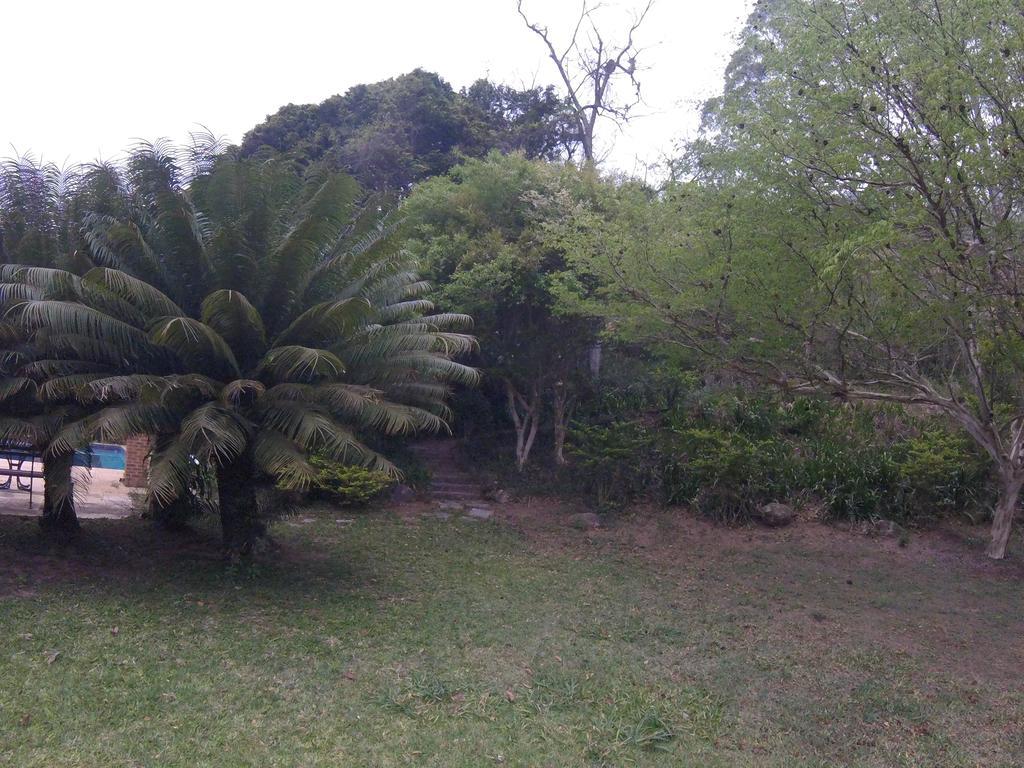 Hotel Pousada Amoedo Petrópolis Exterior foto