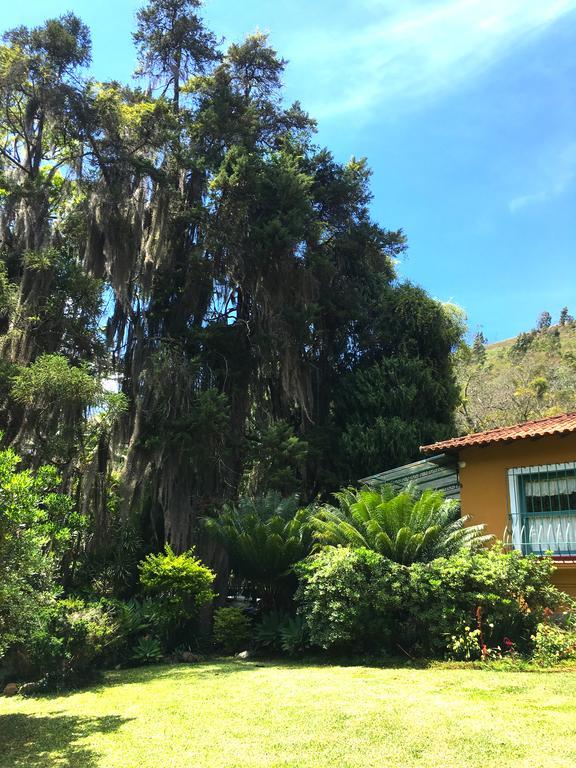 Hotel Pousada Amoedo Petrópolis Exterior foto